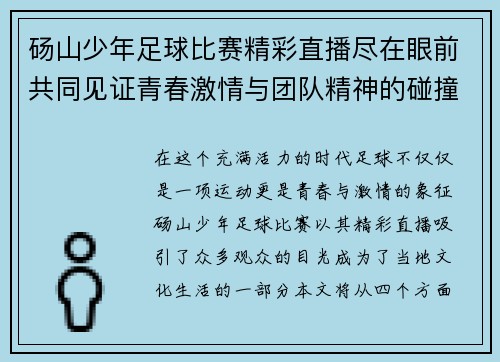 砀山少年足球比赛精彩直播尽在眼前共同见证青春激情与团队精神的碰撞 砀山少年足球比赛精彩直播尽在眼前共同见证青春激情与团队精神的碰撞